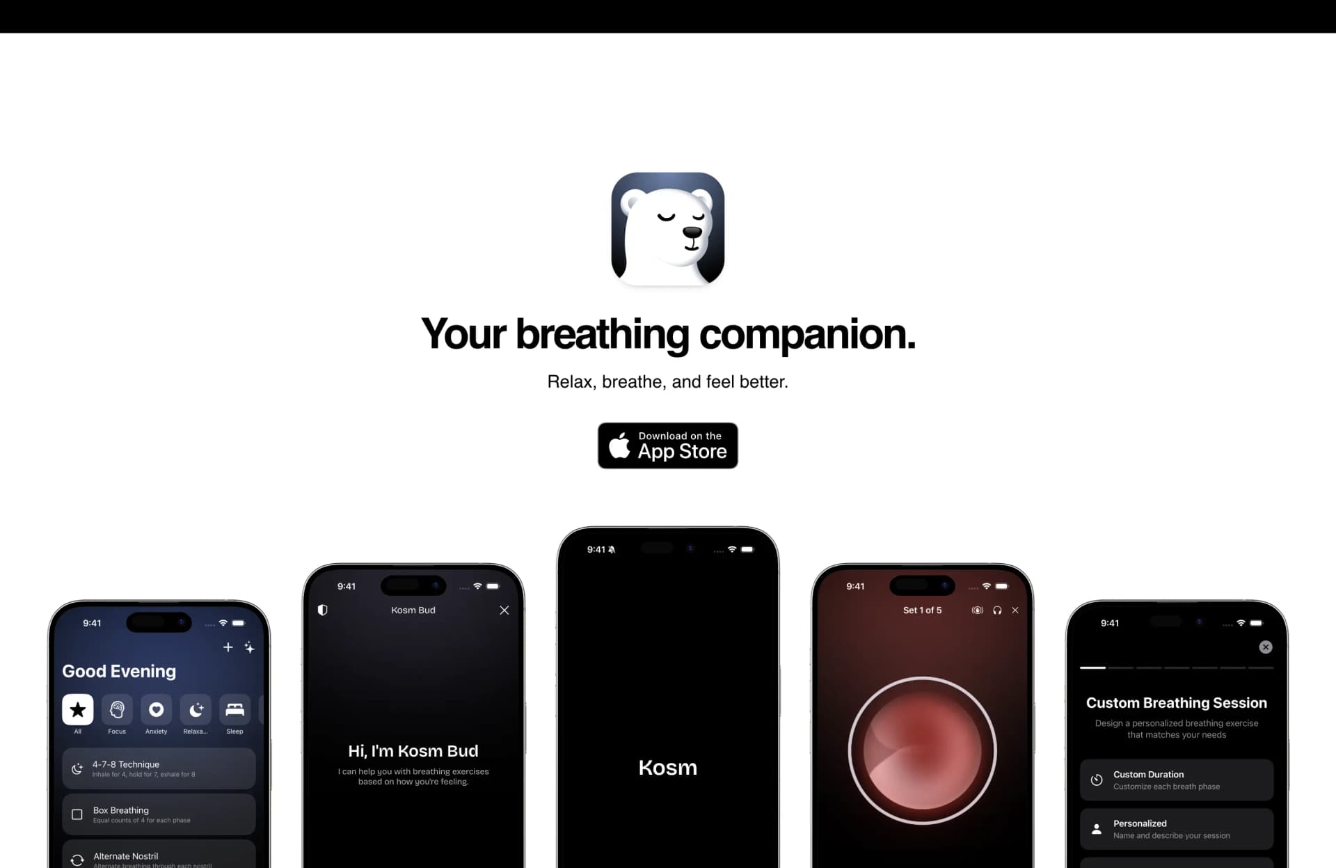 Kosm project screenshot